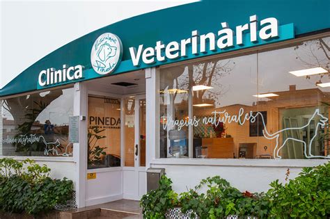 veterinario pontecagnano|Clinica Veterinaria Etruria